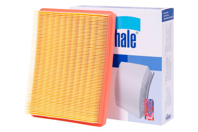 Фильтр воздушный Finwhale (SonataEF(RUS), Trajet 00-06, Magentis 00-, XG) AF617