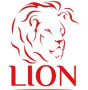 LION TOOLS