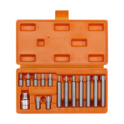 набор бит вставок AIRLINE TORX 3/8” (30мм и 75мм, T20-T55) с держ.  ½” DR, 15 предм. в кейсе AT-B-21