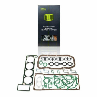 комплект прокладок для ремонта двигателя TRIALLI для а/м ГАЗ 3302 (змз. 405) GZ 101 7025