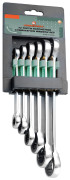 набор ключей JonnesWay накидных трещоточных 6 предм. (8*9, 10*11, 12*13, 14*15, 16*18, 17*19 мм) пласт.держат. арт.W68106S