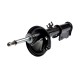 амортизатор TRIALLI Hyundai Santa Fe (00-) перед. прав. газ. AG 08384