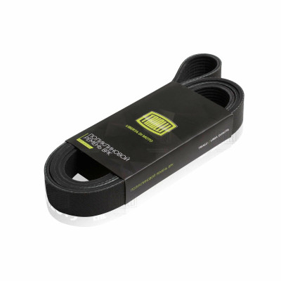 ремень TRIALLI приводной для а/м КамАЗ 4308 (дв. Cummins BT) 8PK1445