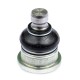 Шаровая опора TORQUE RENAULT Logan, Sandero, Clio III, Megane II, Scenic II, Grand Scenic II/NISSAN Micra, Note, переднего нижнего рычага PN-010